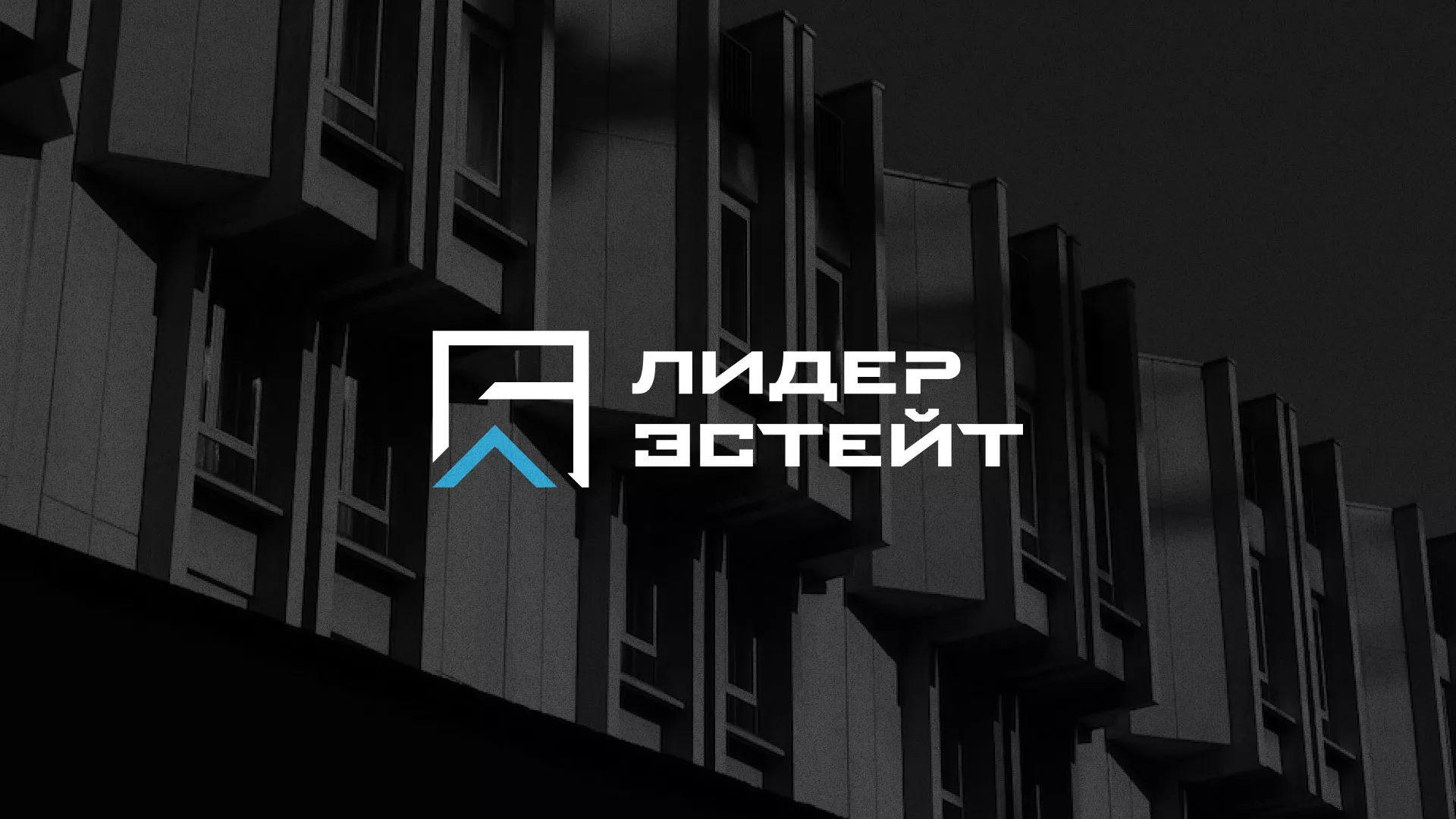 Разработка логотипа агентства недвижимости «Лидер Эстейт» в Гороховце